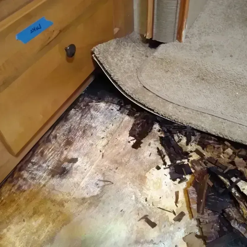 Wood Floor Water Damage in Silver Lake, WI